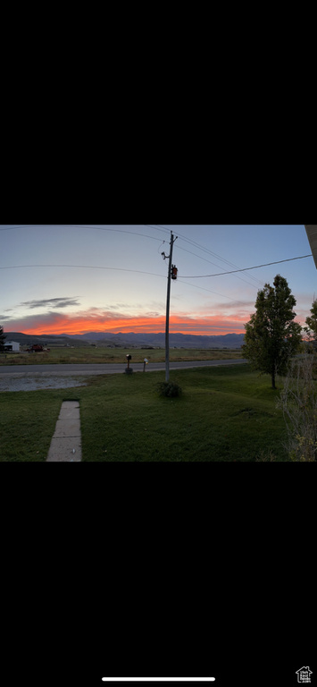 View of yard at dusk