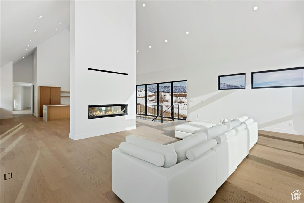 Living room featuring light hardwood / wood-style floors and high vaulted ceiling