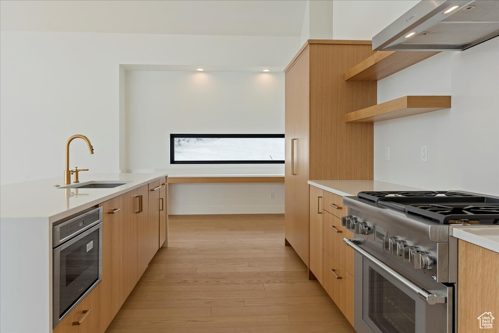 Kitchen with stainless steel appliances, light brown cabinets, range hood, light hardwood / wood-style floors, and sink