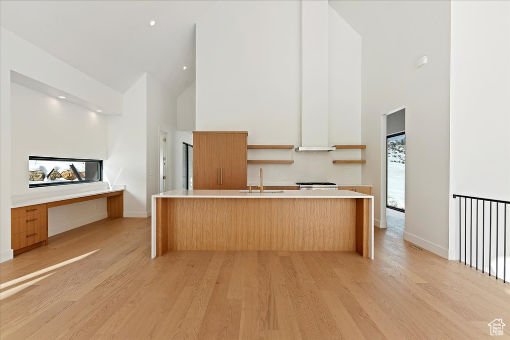 Kitchen with light hardwood / wood-style floors, sink, a towering ceiling, and a kitchen island with sink