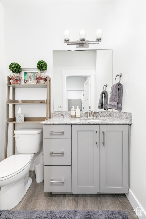 Bathroom featuring toilet and vanity with extensive cabinet space