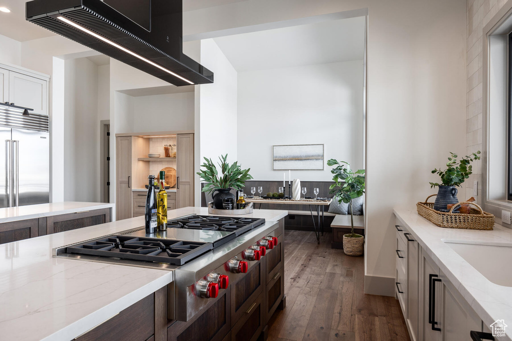 Kitchen featuring custom exhaust hood, stainless steel appliances, light stone countertops, sink, and dark hardwood / wood-style floors