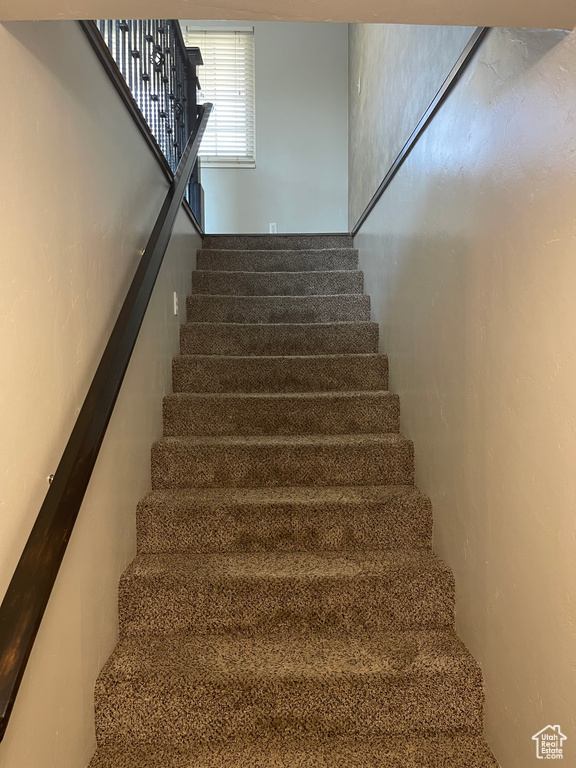 Stairway with carpet flooring
