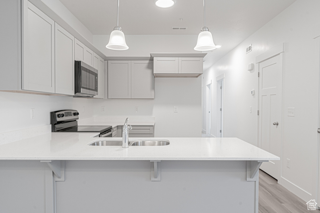 Kitchen with sink, light hardwood / wood-style flooring, pendant lighting, and stainless steel appliances