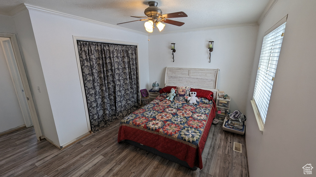 Bedroom featuring dark hardwood / wood-style flooring, ceiling fan, and ornamental molding