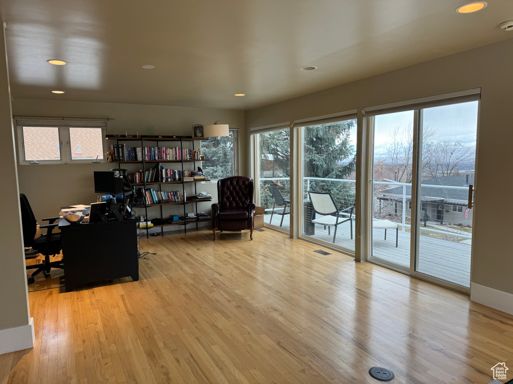 Office space featuring plenty of natural light and light hardwood / wood-style floors
