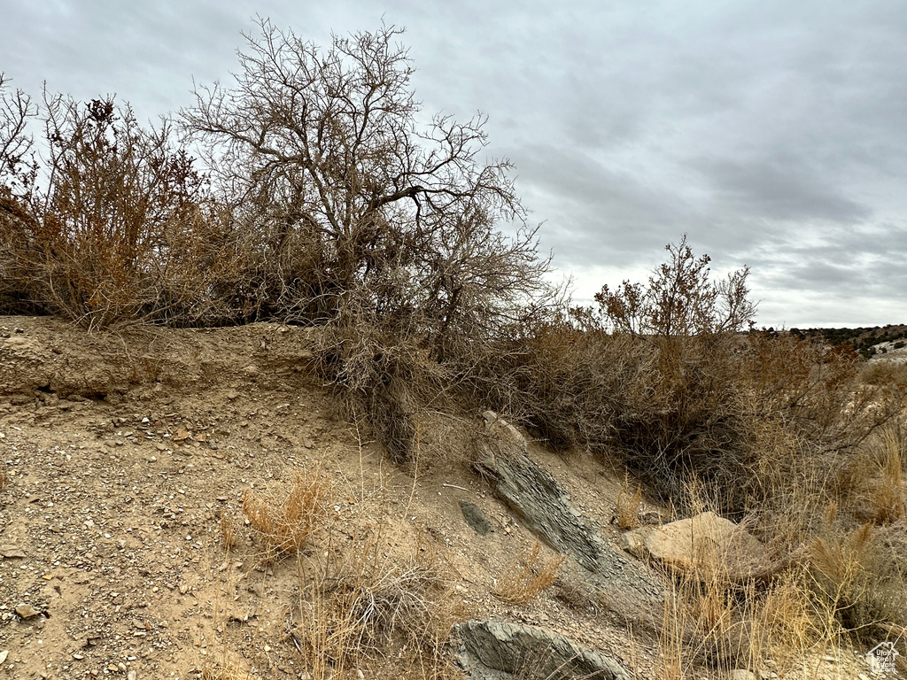  Bridgeland, UT 84021