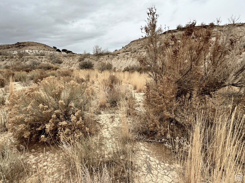  Bridgeland, UT 84021