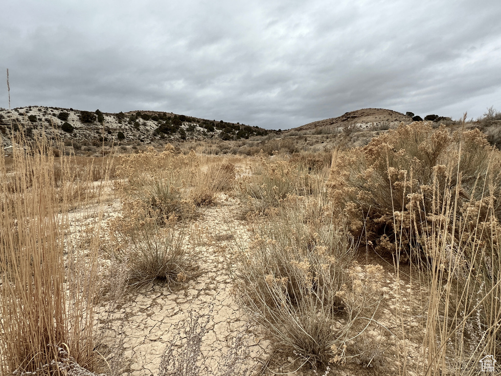  Bridgeland, UT 84021