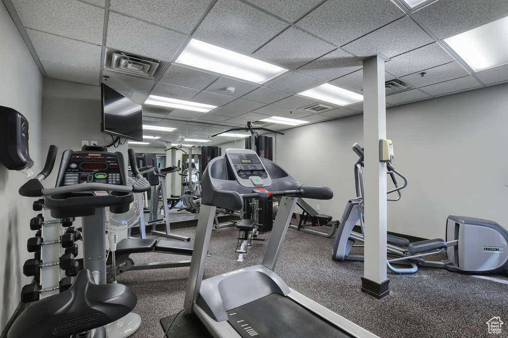Gym with carpet flooring and a paneled ceiling