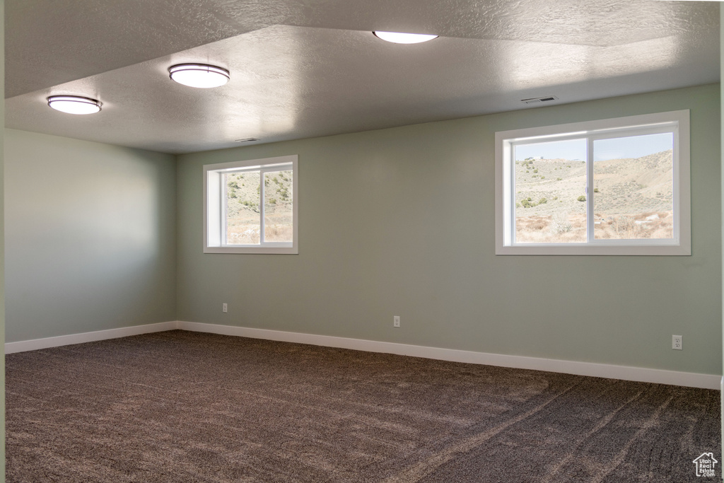 Empty room featuring a textured ceiling and carpet
