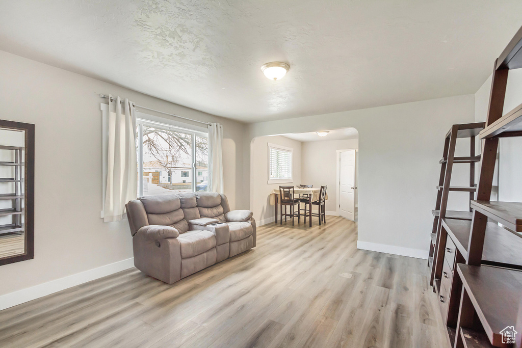 Living room featuring light hardwood / wood-style flooring