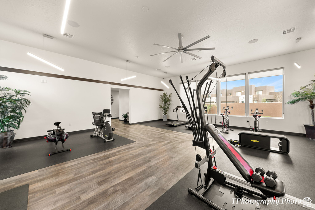 Gym with hardwood / wood-style flooring and ceiling fan