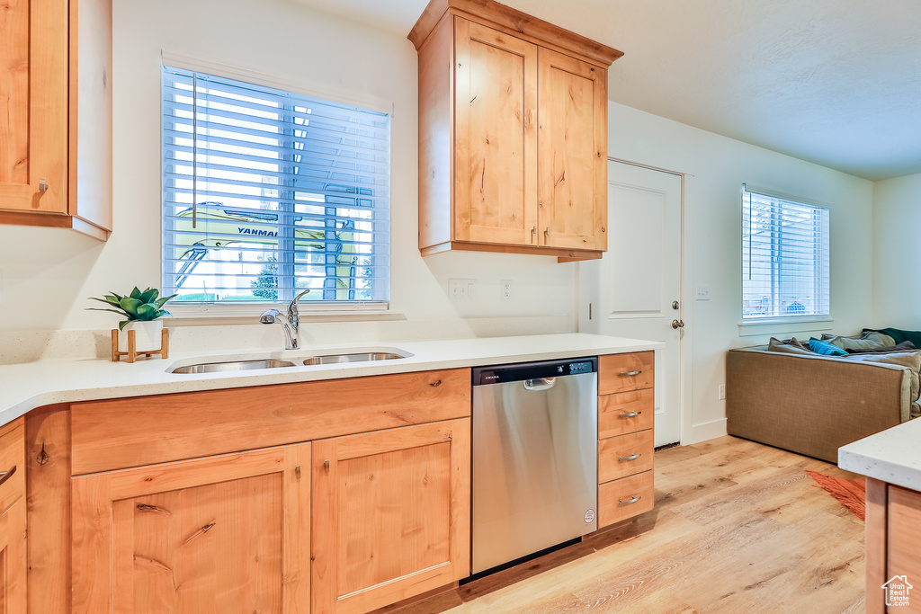 Kitchen with stainless steel dishwasher, light hardwood / wood-style floors, plenty of natural light, and sink