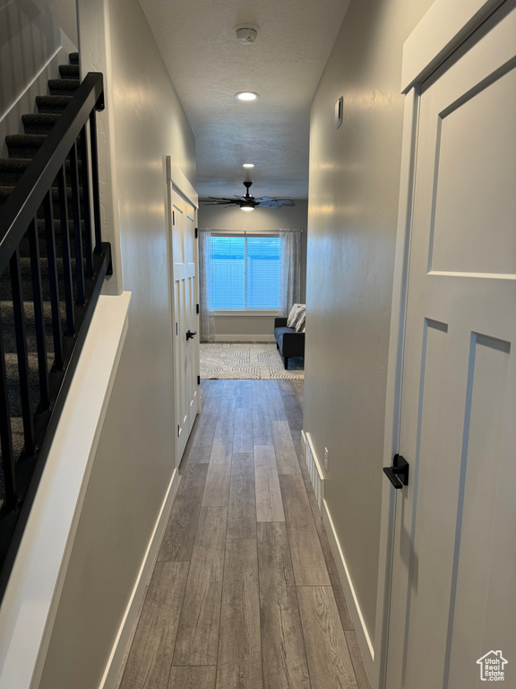 Hallway with dark wood-type flooring