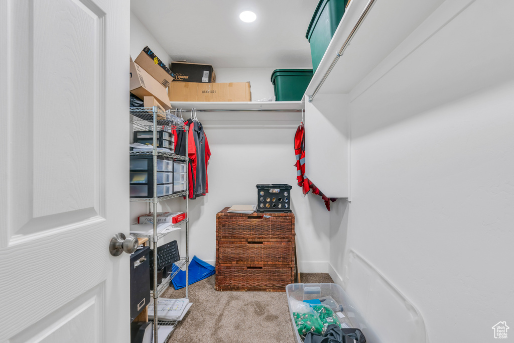 Spacious closet featuring light carpet