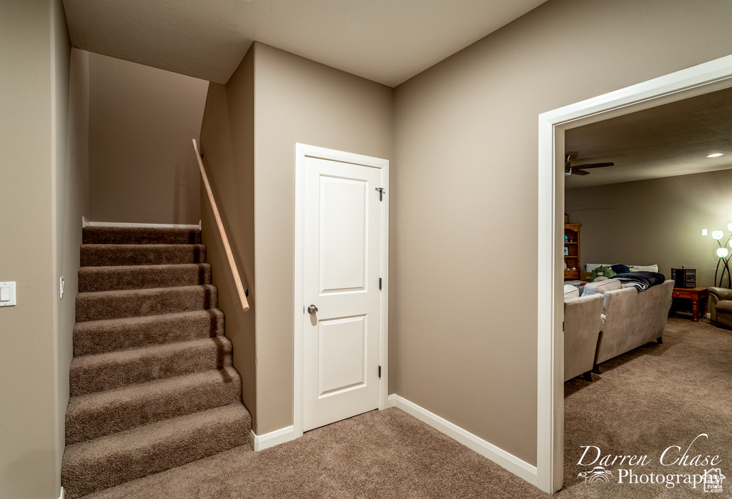 Stairway with ceiling fan and dark carpet
