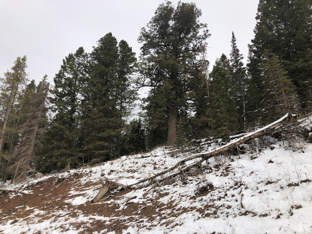 View of snowy view