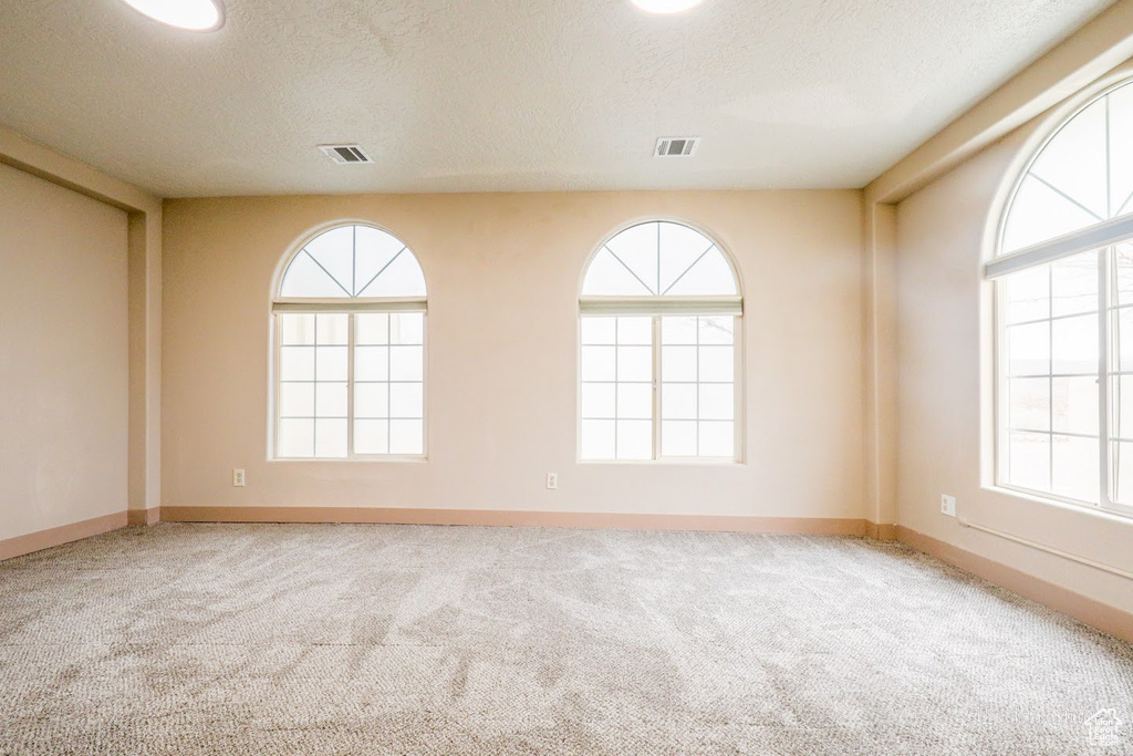 Spare room featuring a wealth of natural light, light colored carpet, and a textured ceiling