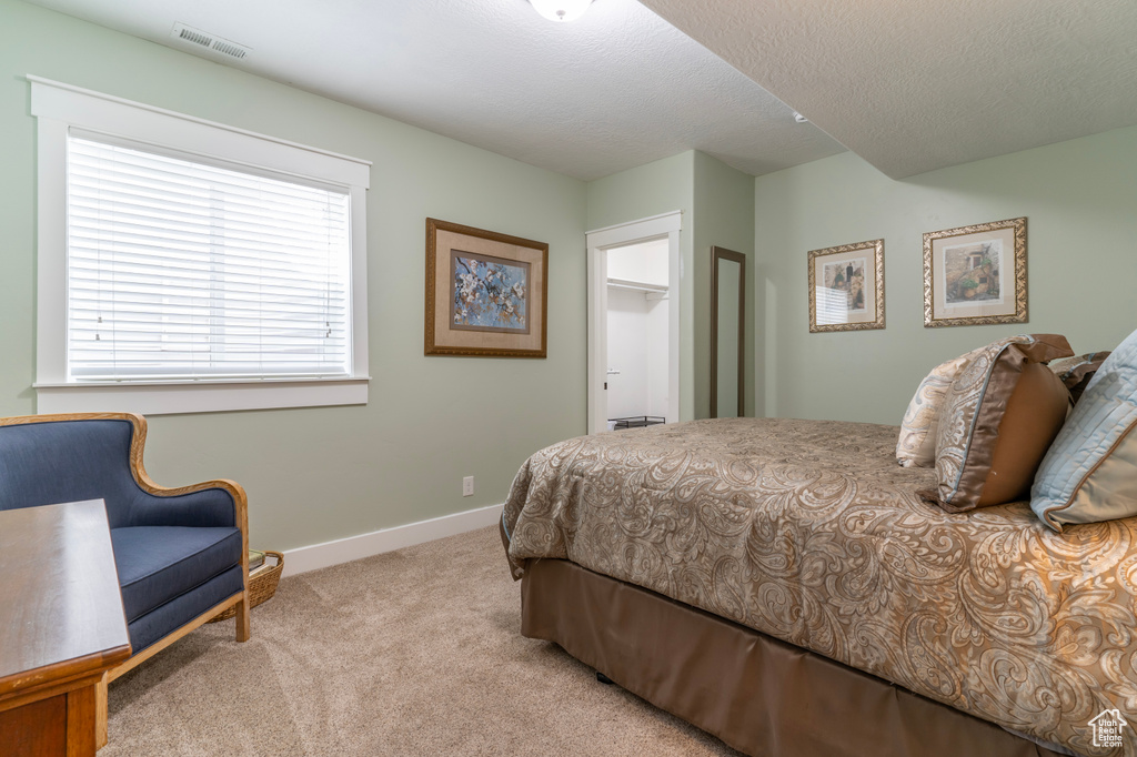Carpeted bedroom with a textured ceiling and a closet
