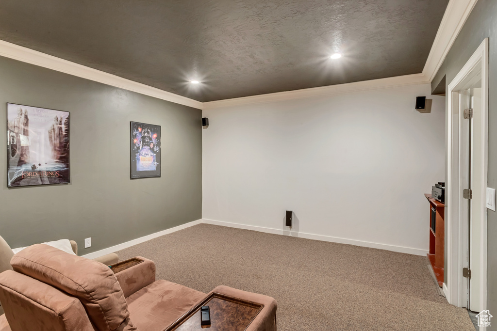 Carpeted home theater room with ornamental molding
