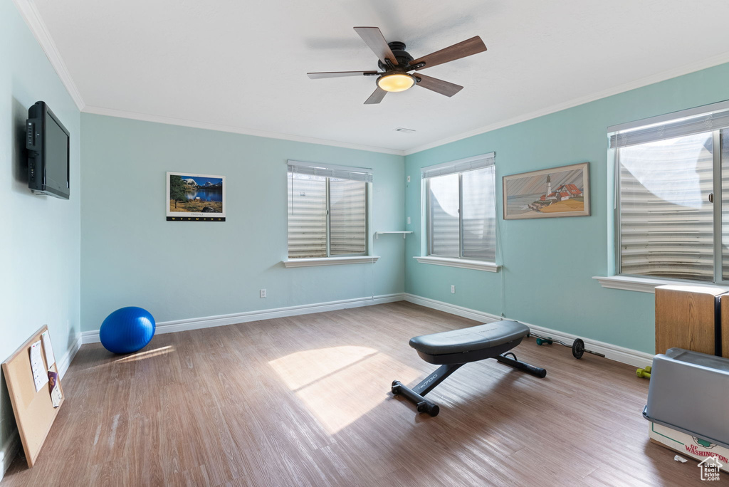 Exercise room with light hardwood / wood-style floors, crown molding, and ceiling fan