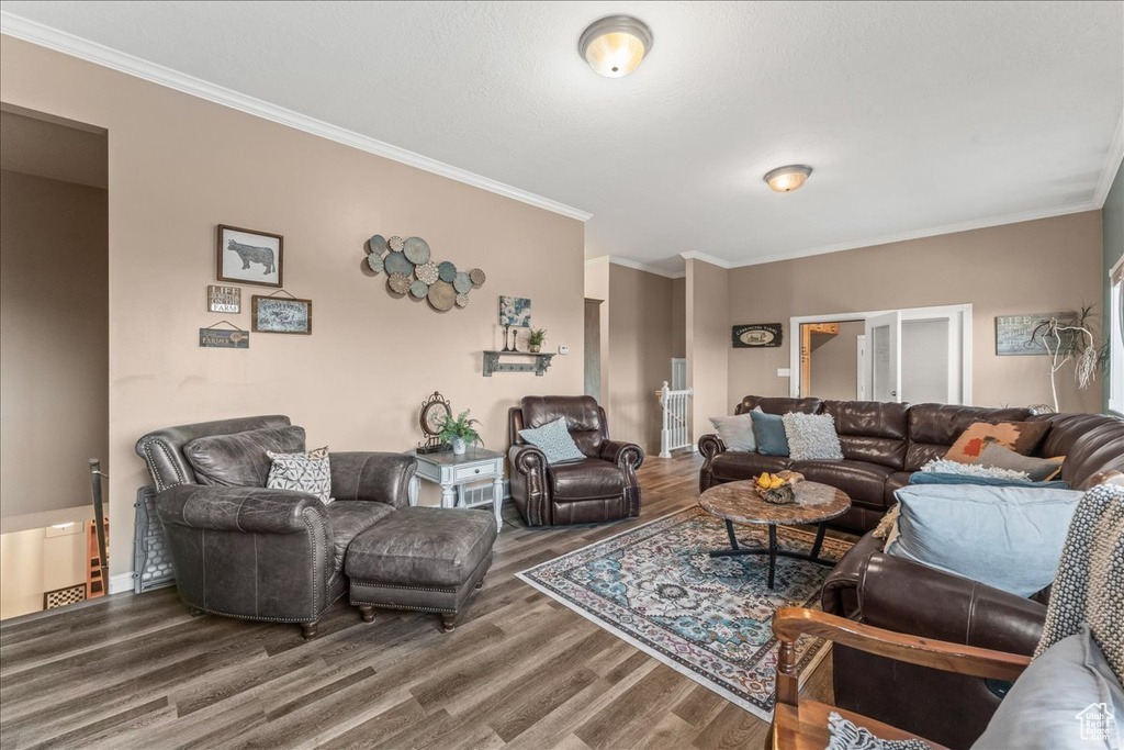 Living room featuring dark hardwood / wood-style flooring and ornamental molding
