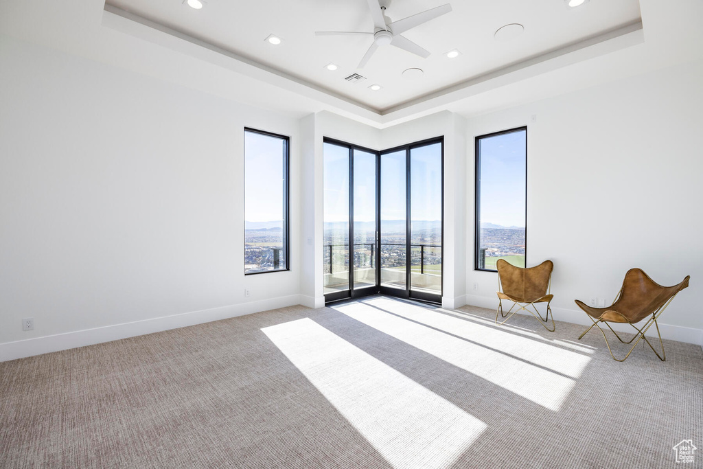 Unfurnished room featuring plenty of natural light, a tray ceiling, and light colored carpet