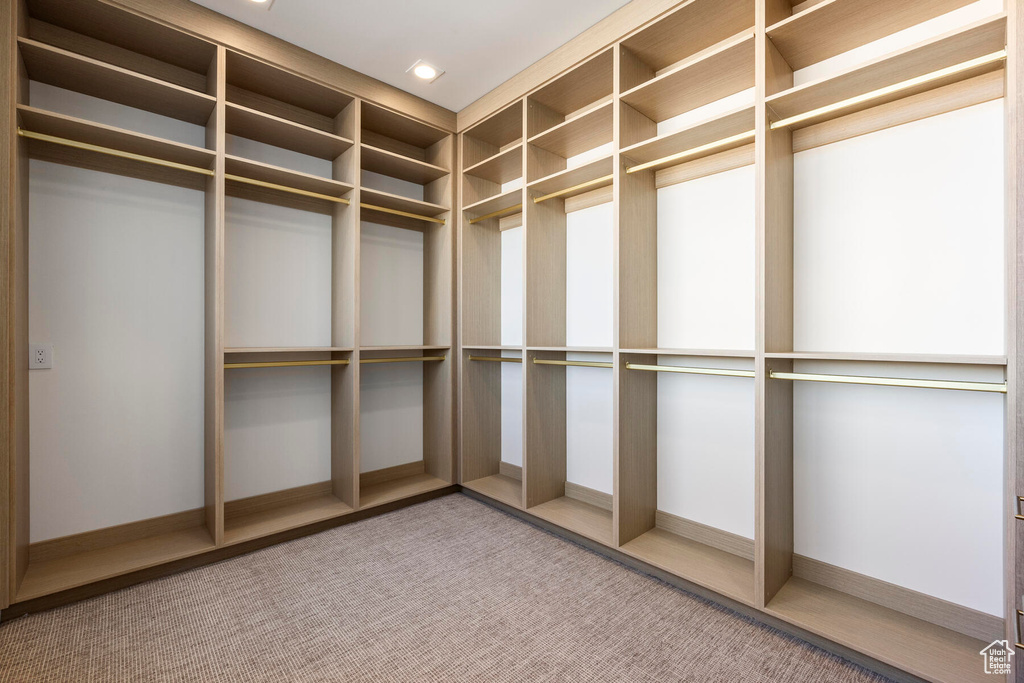 Spacious closet featuring carpet floors