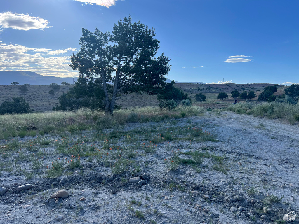 View of mountain view