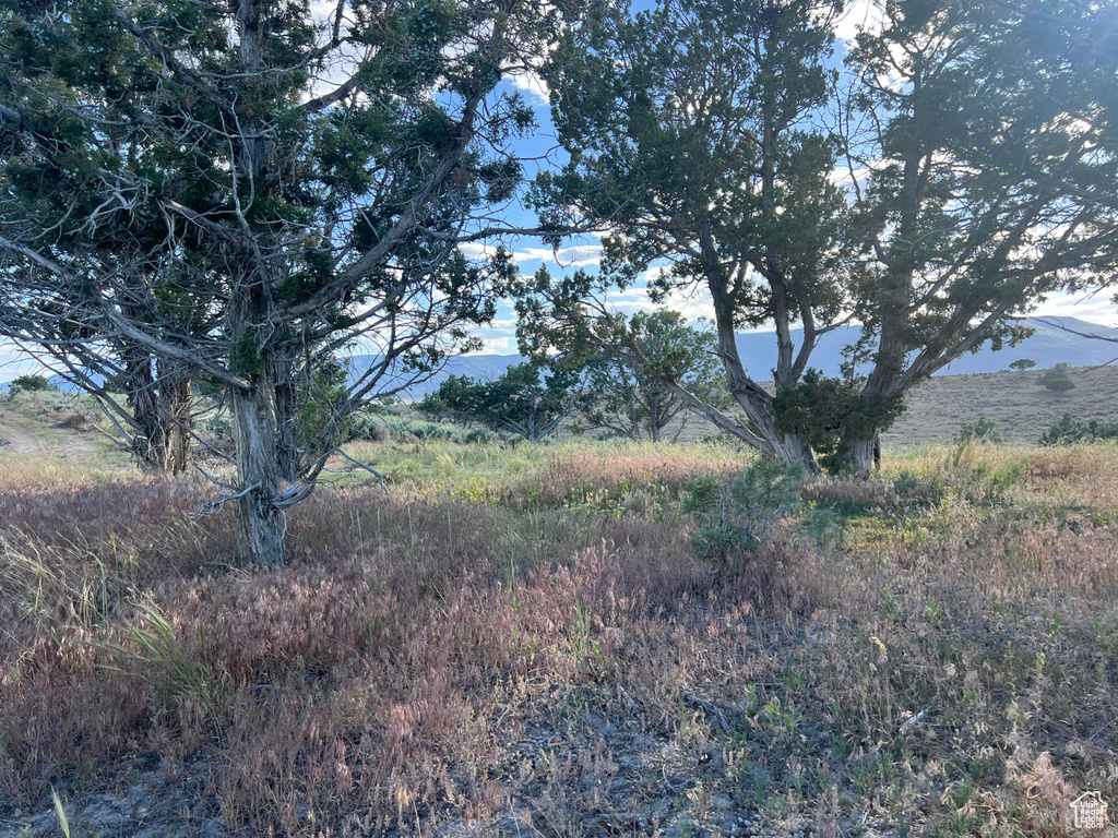 View of mother earth's splendor with a rural view