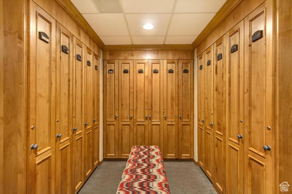 Mudroom featuring dark colored carpet and a drop ceiling
