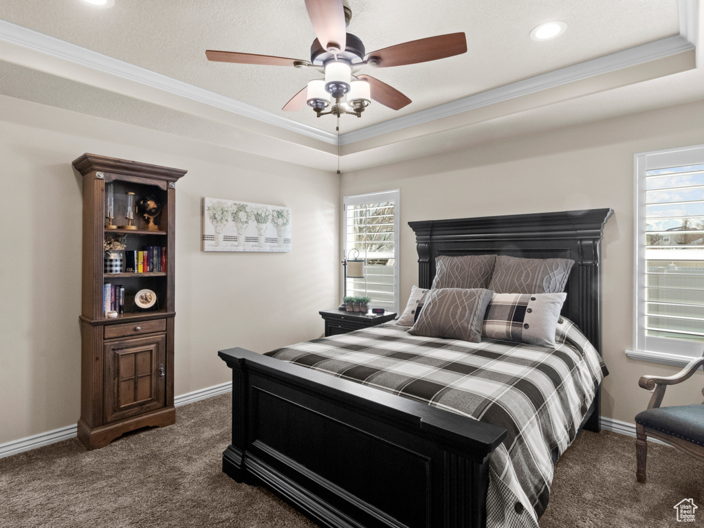Bedroom featuring multiple windows, ceiling fan, dark carpet, and a tray ceiling