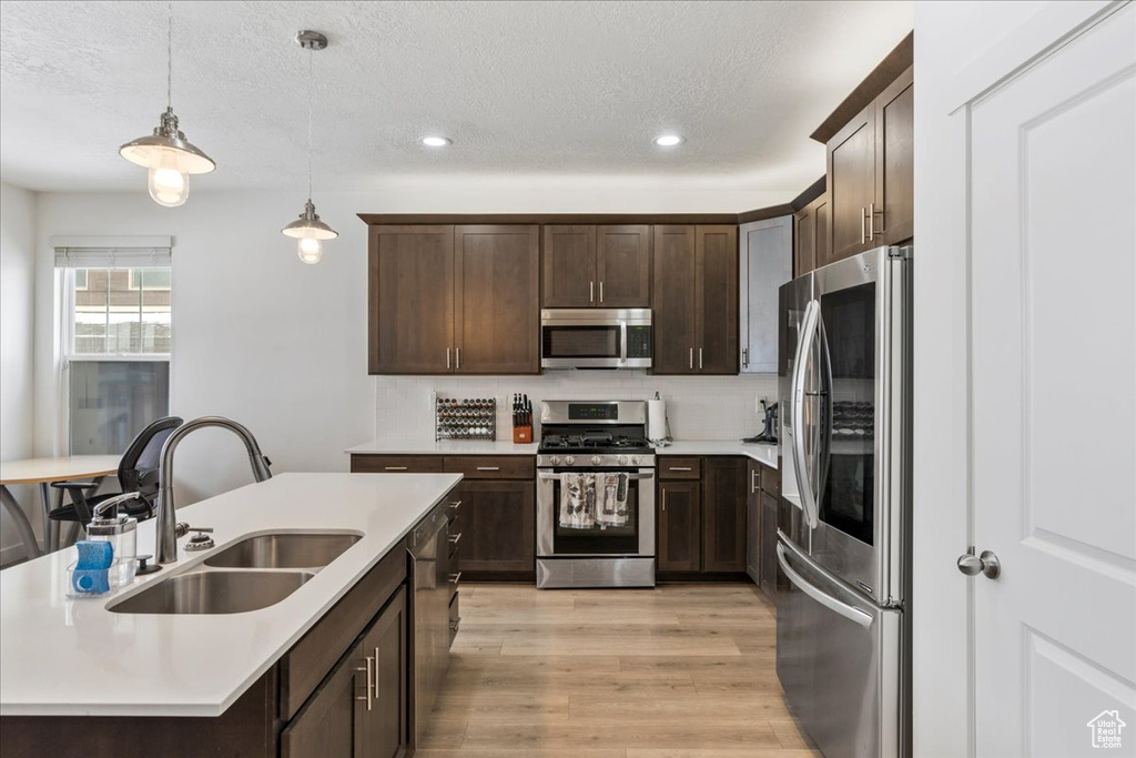 Kitchen featuring sink, pendant lighting, appliances with stainless steel finishes, light hardwood / wood-style flooring, and dark brown cabinets