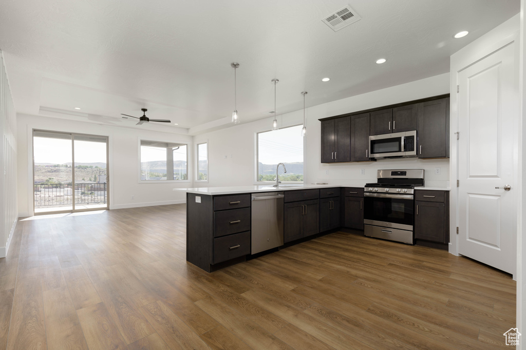 Kitchen featuring a wealth of natural light, ceiling fan, appliances with stainless steel finishes, and hardwood / wood-style flooring