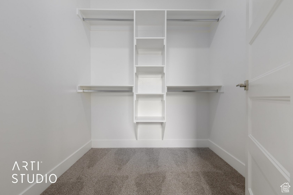 Walk in closet with carpet flooring