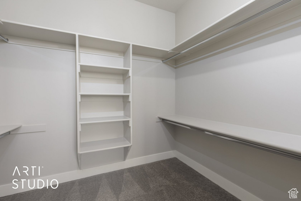 Walk in closet with carpet flooring