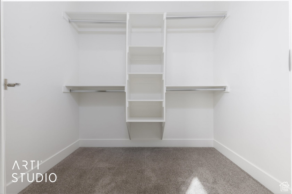 Walk in closet featuring carpet floors