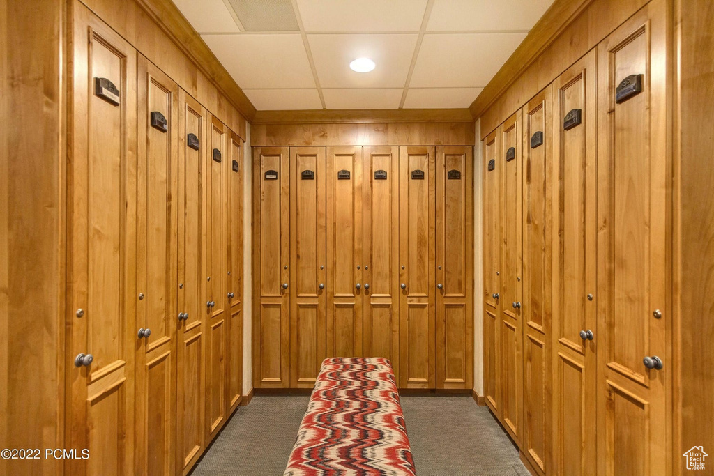 Mudroom featuring dark colored carpet and a paneled ceiling