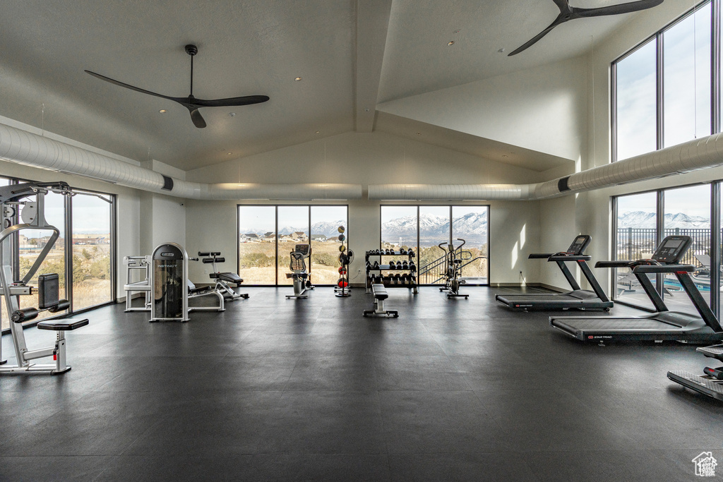 Gym with a wealth of natural light, ceiling fan, and high vaulted ceiling