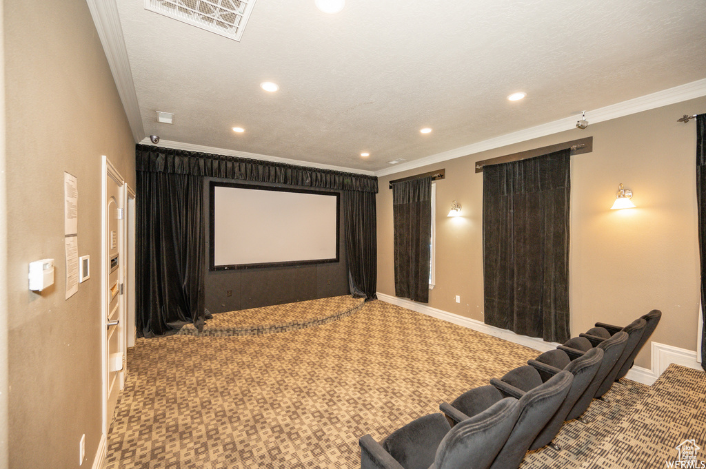 Home theater room with light colored carpet and ornamental molding
