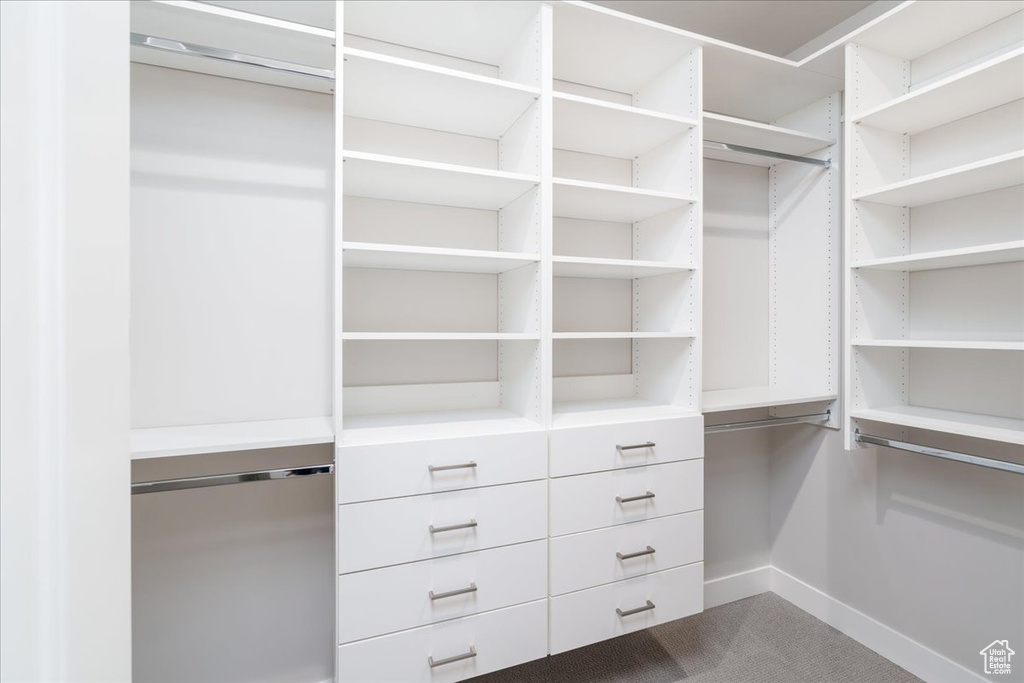 Walk in closet with carpet floors