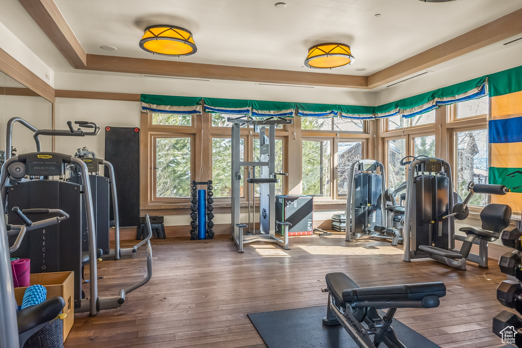 Exercise room featuring a healthy amount of sunlight and dark wood-type flooring