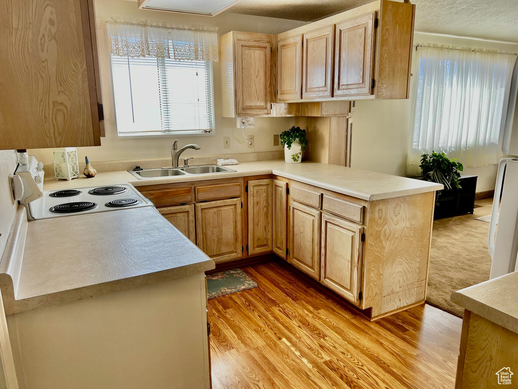 Kitchen featuring range, light hardwood / wood-style floors, plenty of natural light, and sink