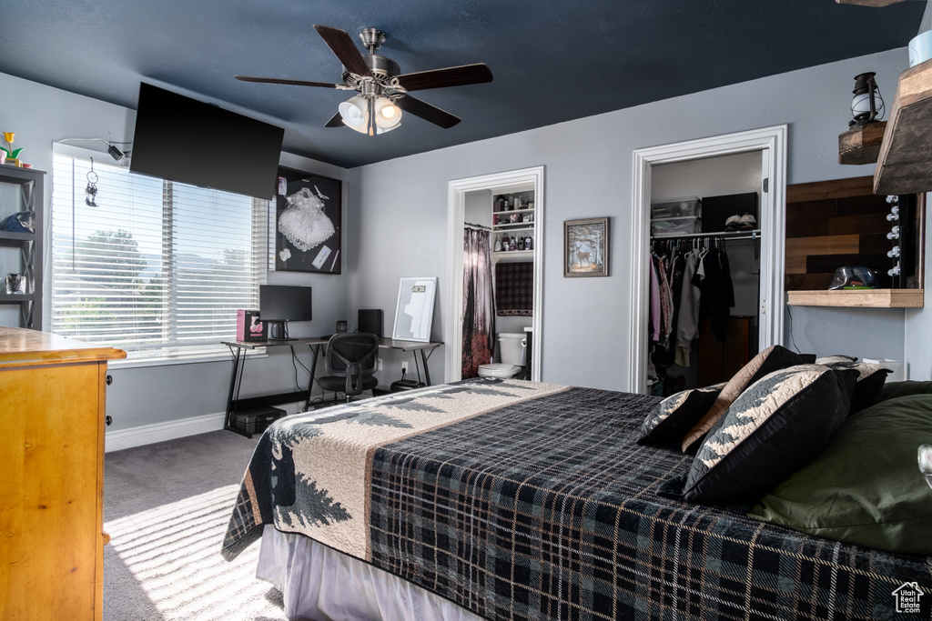 Bedroom with a closet, dark colored carpet, connected bathroom, a walk in closet, and ceiling fan