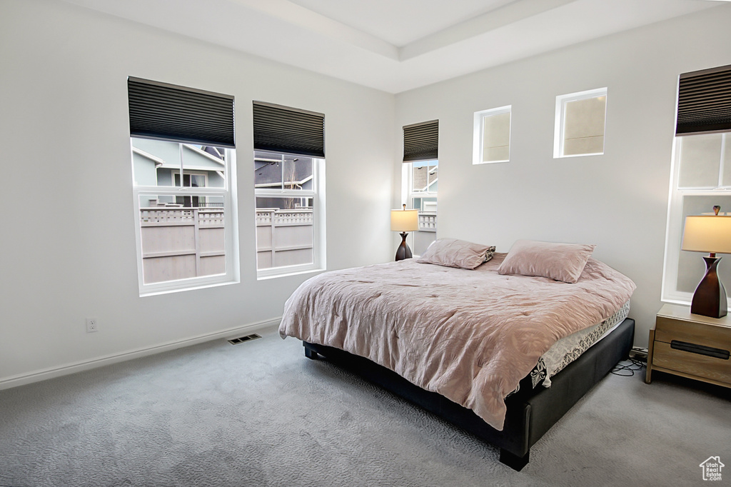 Carpeted bedroom featuring multiple windows