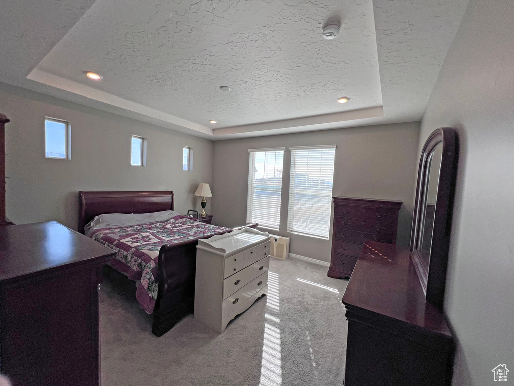 Bedroom with a raised ceiling, carpet flooring, and a textured ceiling