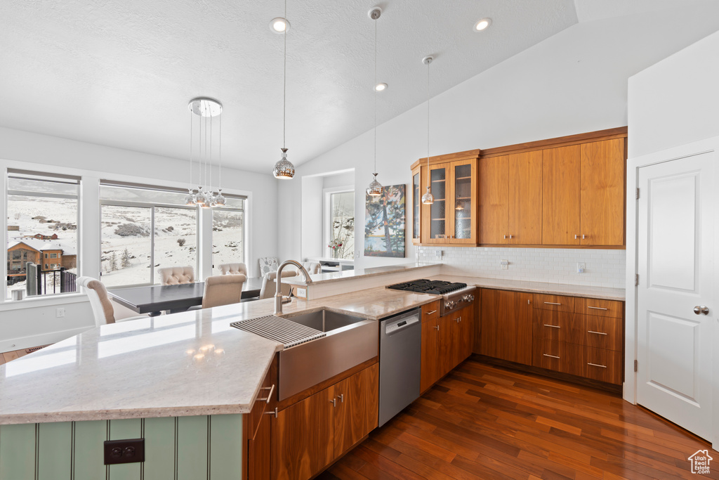 Kitchen featuring pendant lighting, backsplash, appliances with stainless steel finishes, dark hardwood / wood-style floors, and vaulted ceiling
