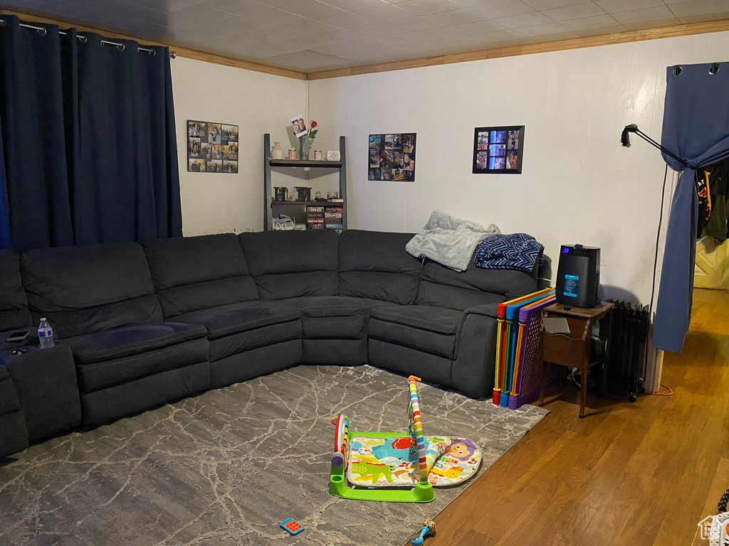 Living room with dark hardwood / wood-style floors and ornamental molding