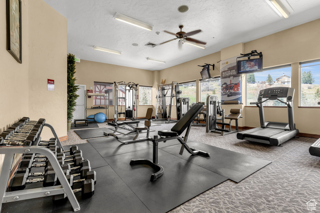 Exercise room featuring plenty of natural light, ceiling fan, and a textured ceiling